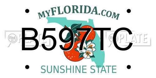 B597TC Florida License Plate