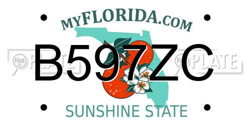 B597ZC Florida License Plate