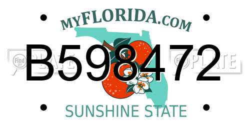B598472 Florida License Plate