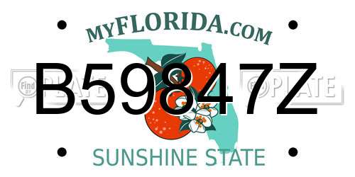 B59847Z Florida License Plate