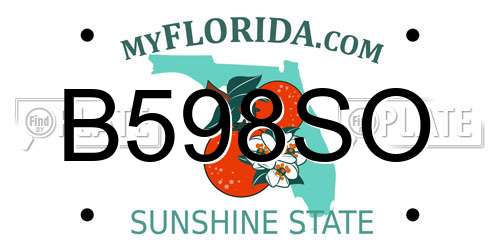 B598SO Florida License Plate