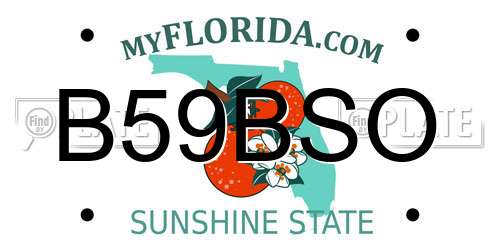 B59BSO Florida License Plate