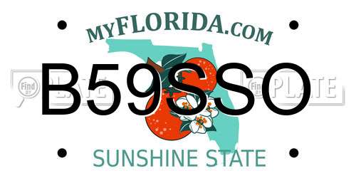 B59SSO Florida License Plate