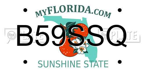 B59SSQ Florida License Plate
