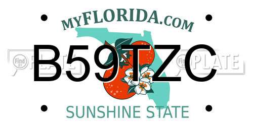 B59TZC Florida License Plate