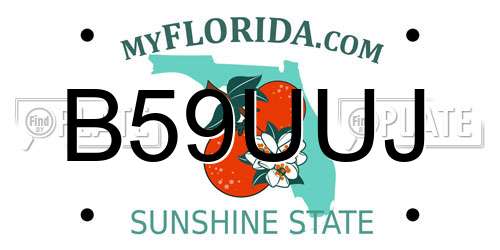 B59UUJ Florida License Plate