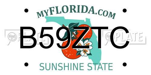 B59ZTC Florida License Plate