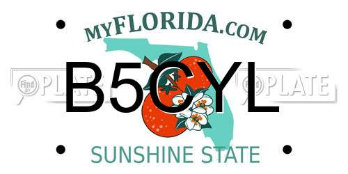 B5CYL Florida License Plate