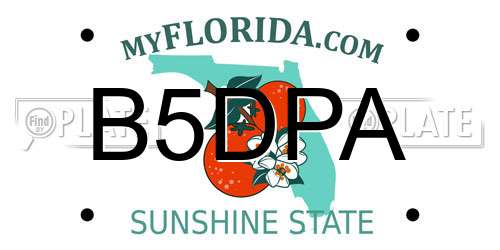 B5DPA Florida License Plate