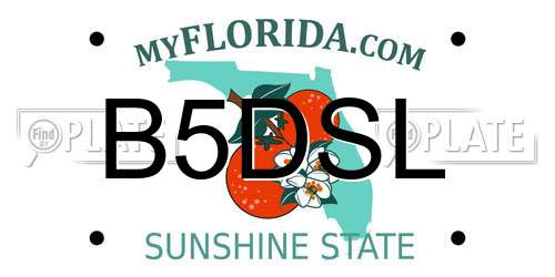 B5DSL Florida License Plate