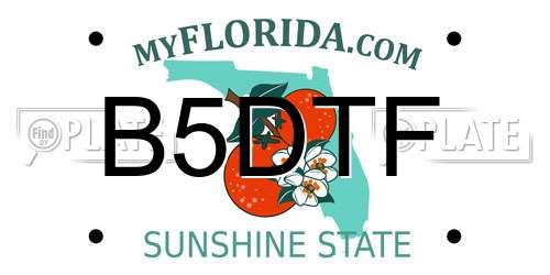 B5DTF Florida License Plate