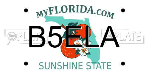 B5ELA Florida License Plate