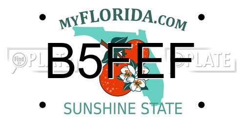 B5FEF Florida License Plate