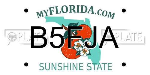 B5FJA Florida License Plate