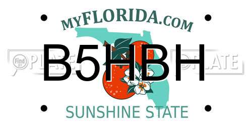 B5HBH Florida License Plate