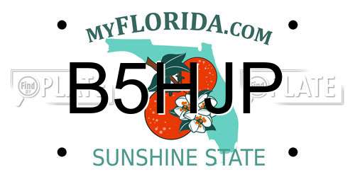 B5HJP Florida License Plate