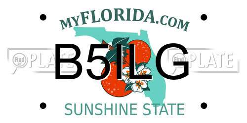 B5ILG Florida License Plate