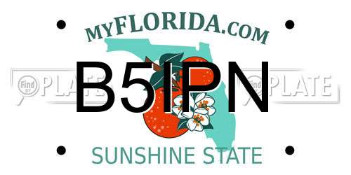 B5IPN Florida License Plate