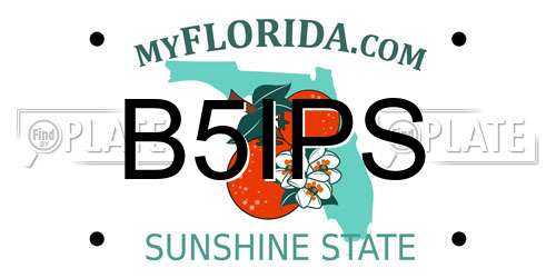 B5IPS Florida License Plate