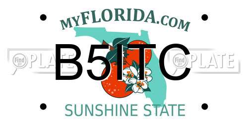 B5ITC Florida License Plate