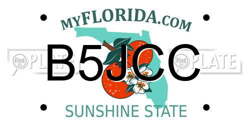 B5JCC Florida License Plate