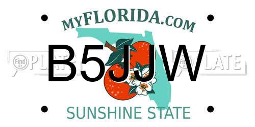 B5JJW Florida License Plate
