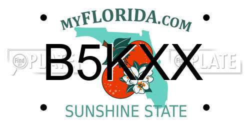 B5KXX Florida License Plate