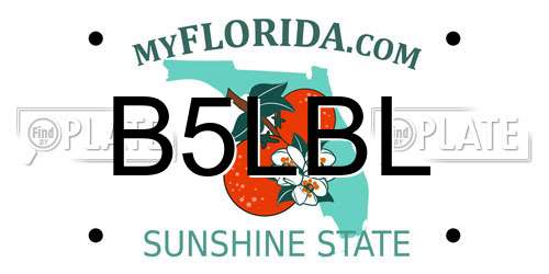 B5LBL Florida License Plate