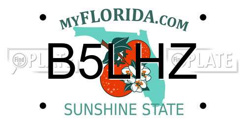 B5LHZ Florida License Plate
