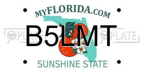 B5LMT Florida License Plate