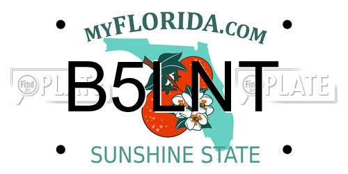 B5LNT Florida License Plate