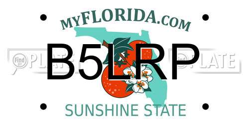 B5LRP Florida License Plate