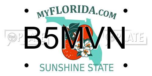 B5MVN Florida License Plate