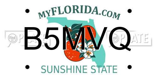 B5MVQ Florida License Plate