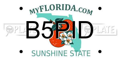 B5PID Florida License Plate