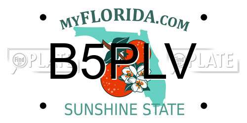 B5PLV Florida License Plate