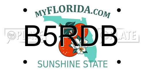 B5RDB Florida License Plate