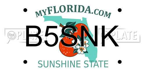 B5SNK Florida License Plate
