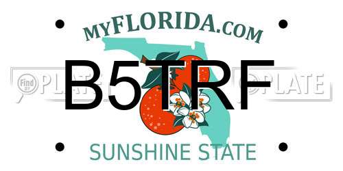 B5TRF Florida License Plate