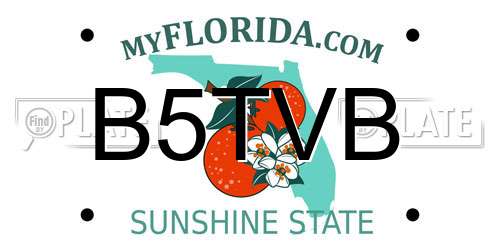 B5TVB Florida License Plate