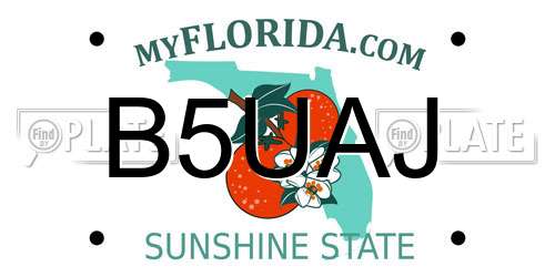 B5UAJ Florida License Plate