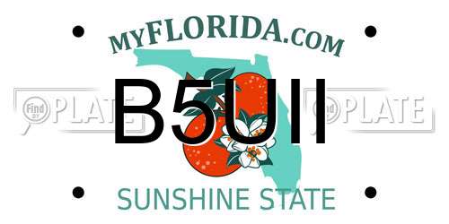 B5UII Florida License Plate