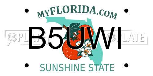 B5UWI Florida License Plate