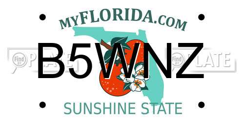 B5WNZ Florida License Plate