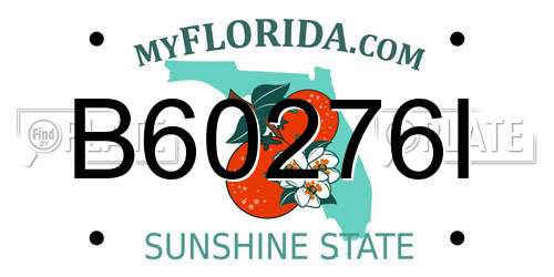 B60276I Florida License Plate