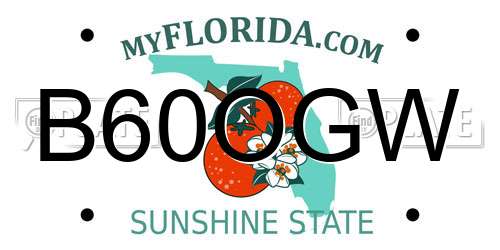 B60OGW Florida License Plate