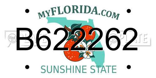 B622262 Florida License Plate