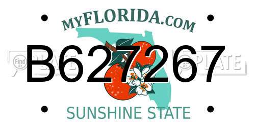 B627267 Florida License Plate