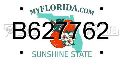 B627762 Florida License Plate