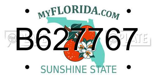 B627767 Florida License Plate